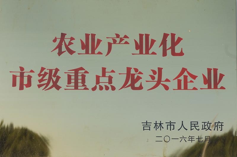 資質(zhì)榮譽(yù)